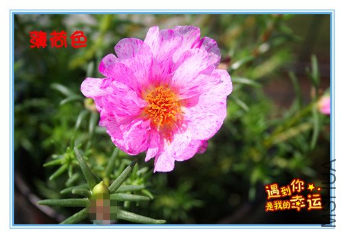 ��Ƭ 019_����.jpg