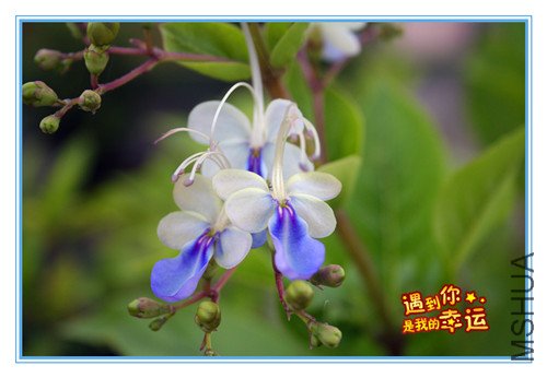 ��Ƭ 067_����.jpg