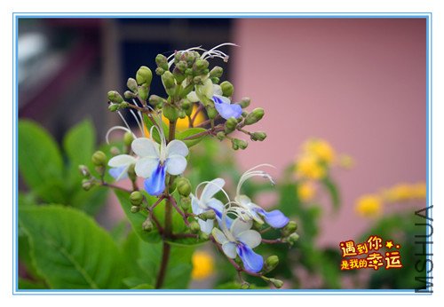 ��Ƭ 068_����.jpg