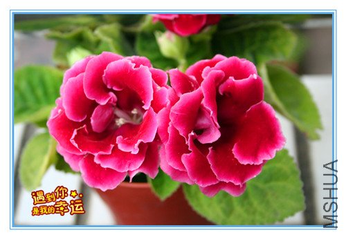 ��Ƭ 041_����.jpg