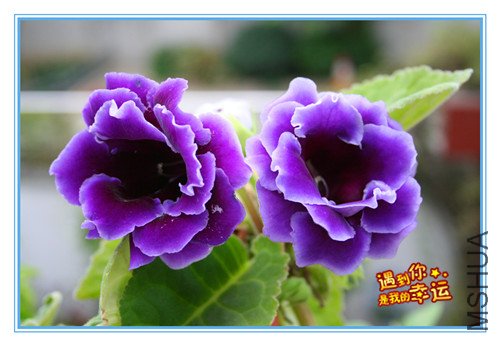 ��Ƭ 042_����.jpg