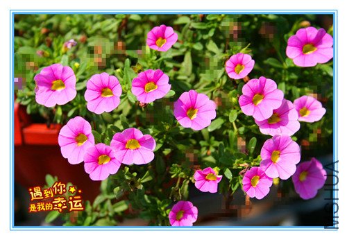 ��Ƭ 053_����.jpg