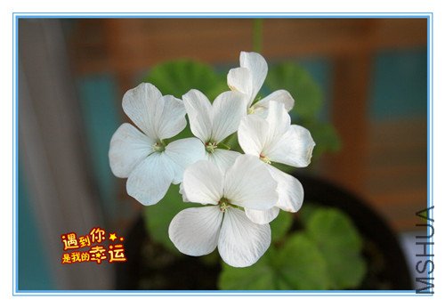 ��Ƭ 059_����.jpg