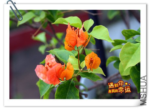 ��Ƭ 027_����.jpg