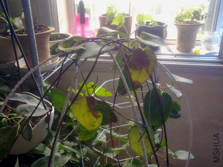20120802451.jpg