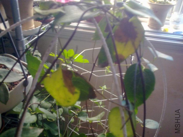 20120802454.jpg
