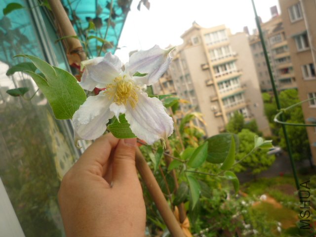 P1060080.JPG