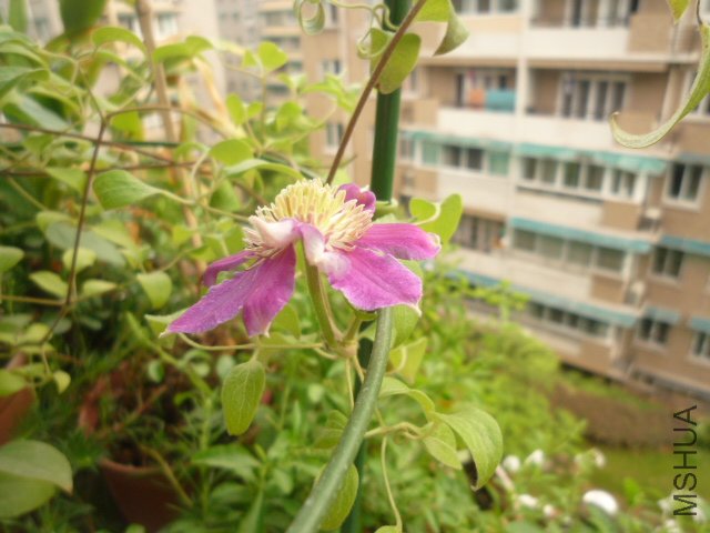 P1060109.JPG