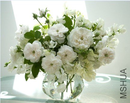 �ޥ��ॢ��ǥ� (2).jpg