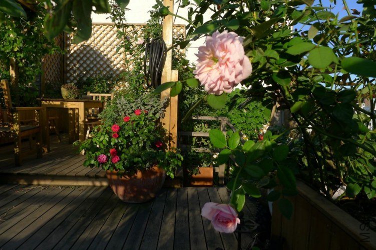 P1050977.JPG