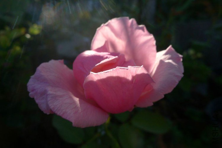 P1060103.JPG
