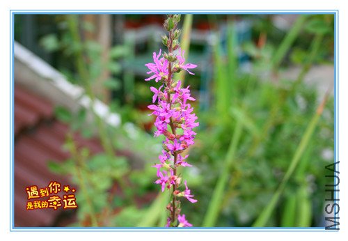 ��Ƭ 045_����.jpg