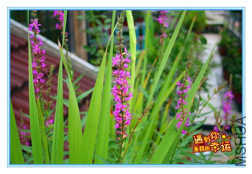 ��Ƭ 047_����.jpg