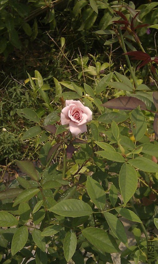 IMAG0079.jpg