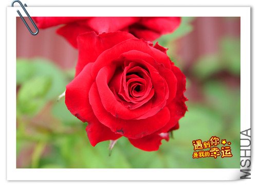 ��Ƭ 049_����.jpg