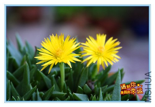 ��Ƭ 003_����1.jpg