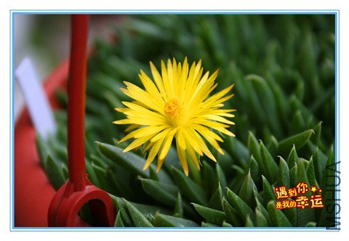 ��Ƭ 006_����.jpg