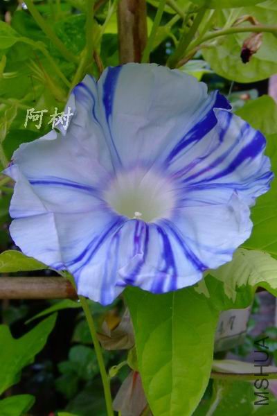 ����֪ 2012-0718(006).jpg