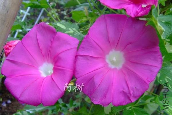 ��� 2012-0713(003).jpg