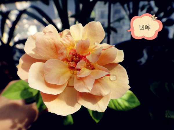 DSC00015_����.jpg