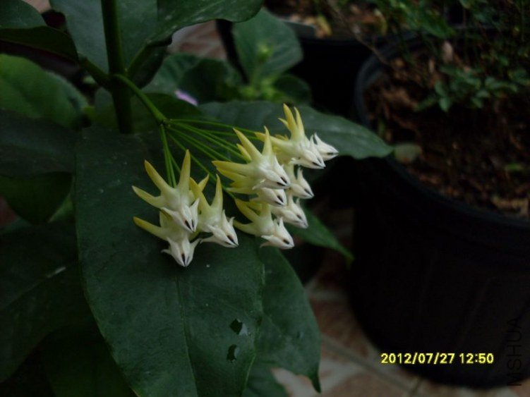 SDC12749_nEO_IMG.jpg