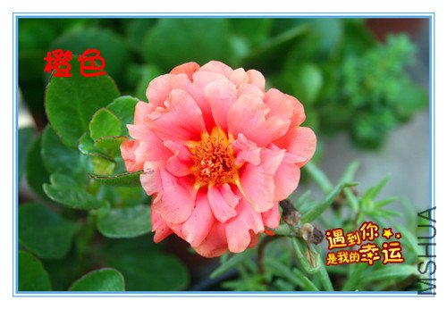 ��Ƭ 006_����.jpg