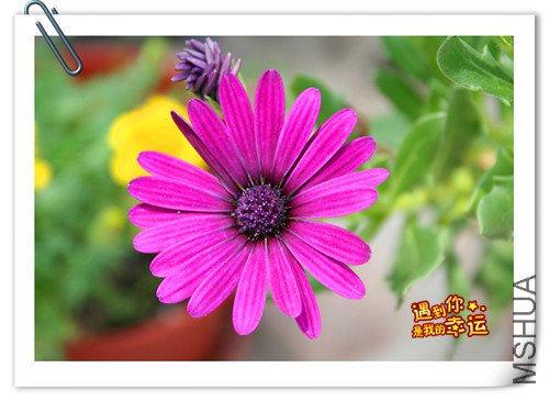 ��Ƭ 052_����.jpg