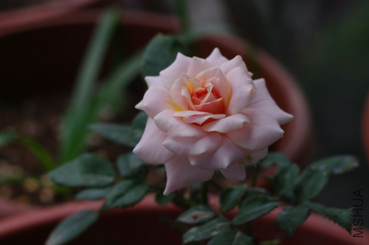 ZQ107342.jpg