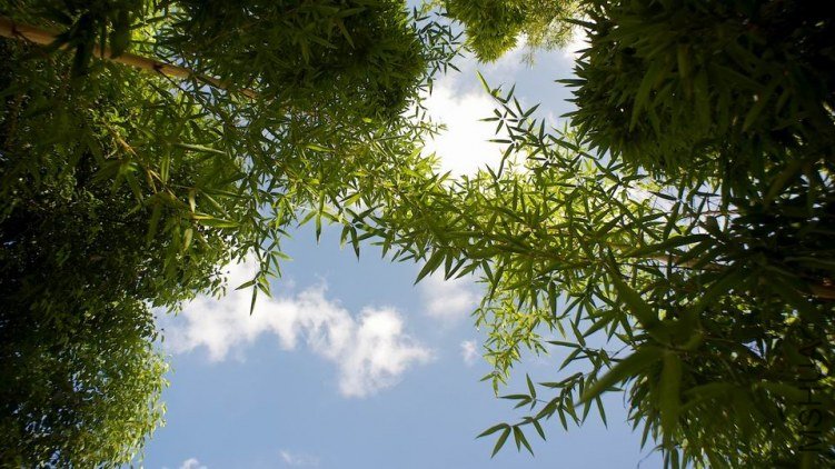 ������С ABC_0183 (1).jpg