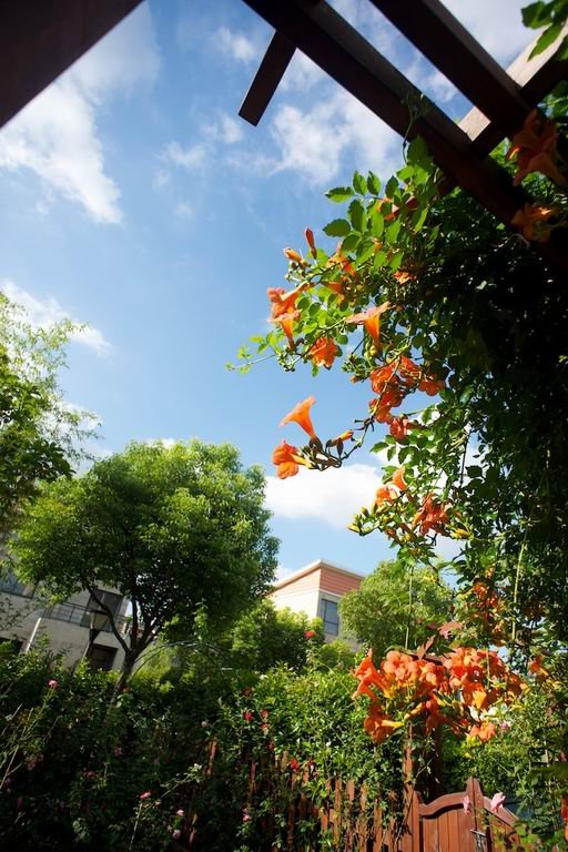 ������С ABC_0178.jpg