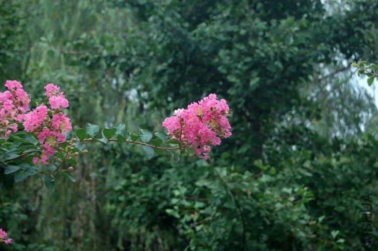 DSC_00480048.JPG