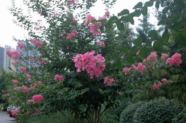 DSC_00530053.JPG