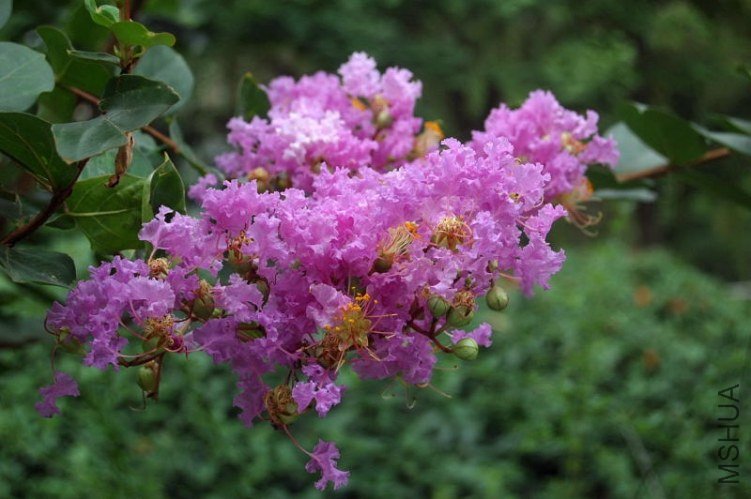 DSC_00580058.JPG