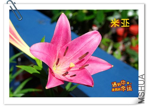 ��Ƭ 098_����.jpg