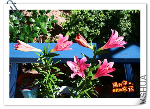 ��Ƭ 096_����.jpg