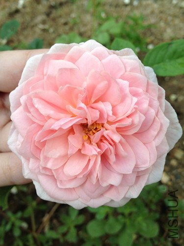 ��Ƭ 071_����.jpg