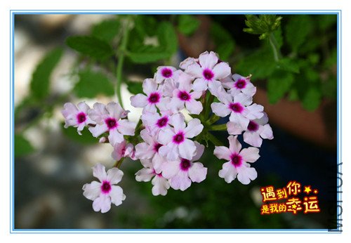 ��Ƭ 114_����.jpg