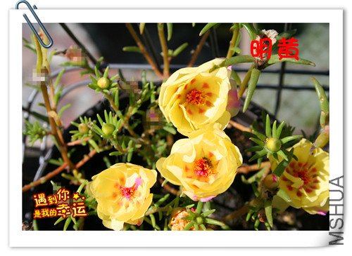 ��Ƭ 074_����.jpg