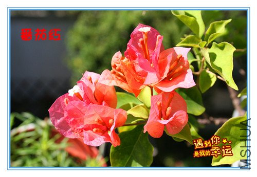 ��Ƭ 044_����.jpg