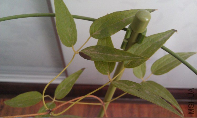 QQ��ͼ20120805135533.jpg
