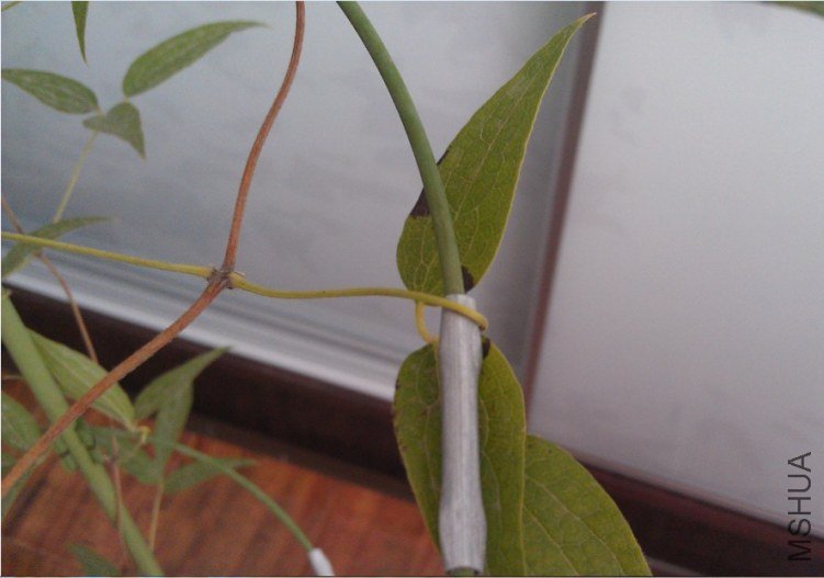 QQ��ͼ20120805135543.jpg