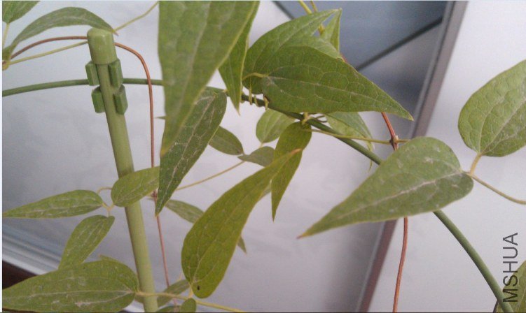 QQ��ͼ20120805135556.jpg