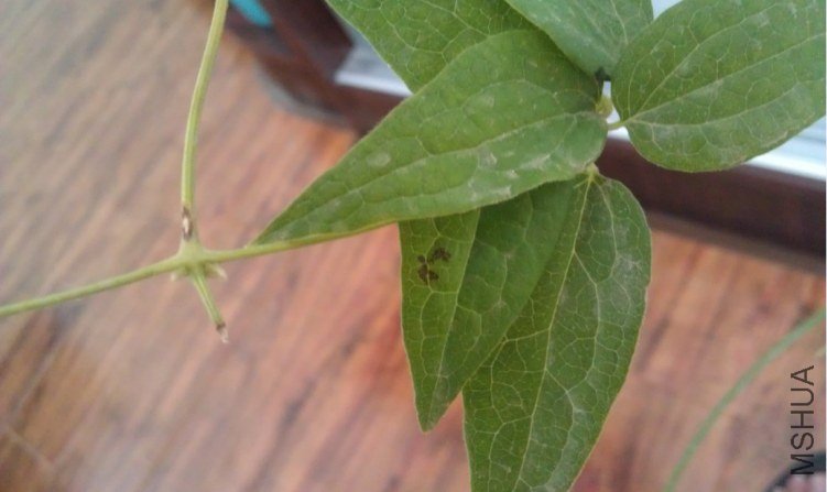 QQ��ͼ20120805135628.jpg