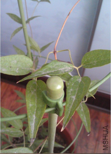 QQ��ͼ20120805135641.jpg