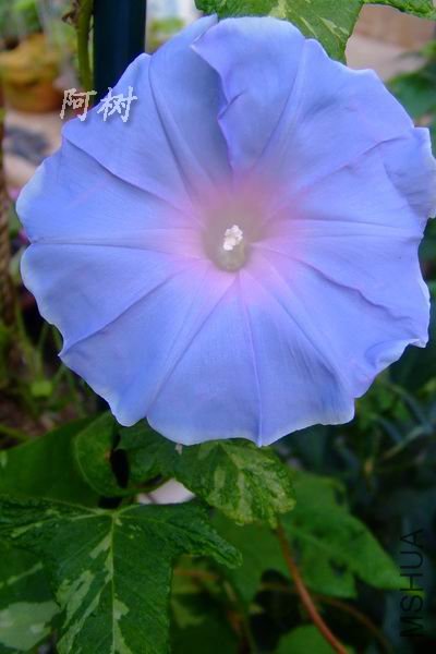 ��ʿ֮�� 2012-0714(007).jpg