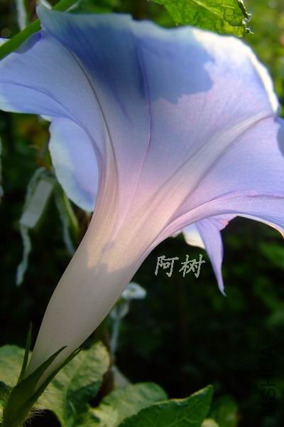 ��ʿ֮�� 2012-0714(025).jpg