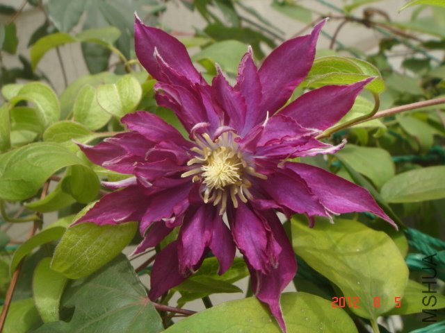 DSC06630.JPG