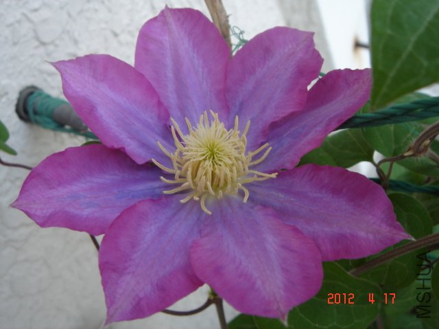DSC00515.JPG