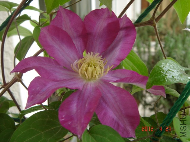 DSC00552.JPG