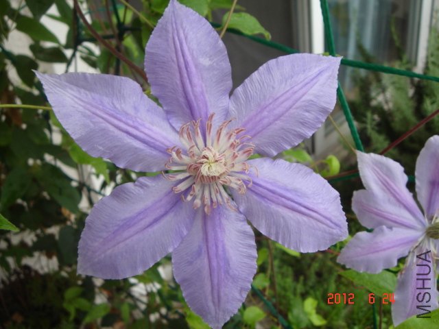 DSC04586.JPG